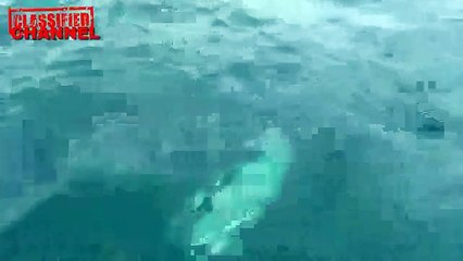 MISTERIOSA MANO DE UNA SIRENA SALE DEL MAR COSTA RICA