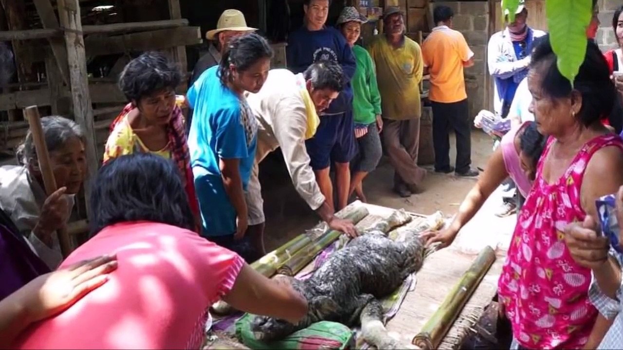 Strange creature found in Thailand - HaTTiP Midnight In the Desert With Art Bell