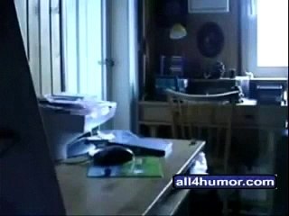 angry german kid backwards