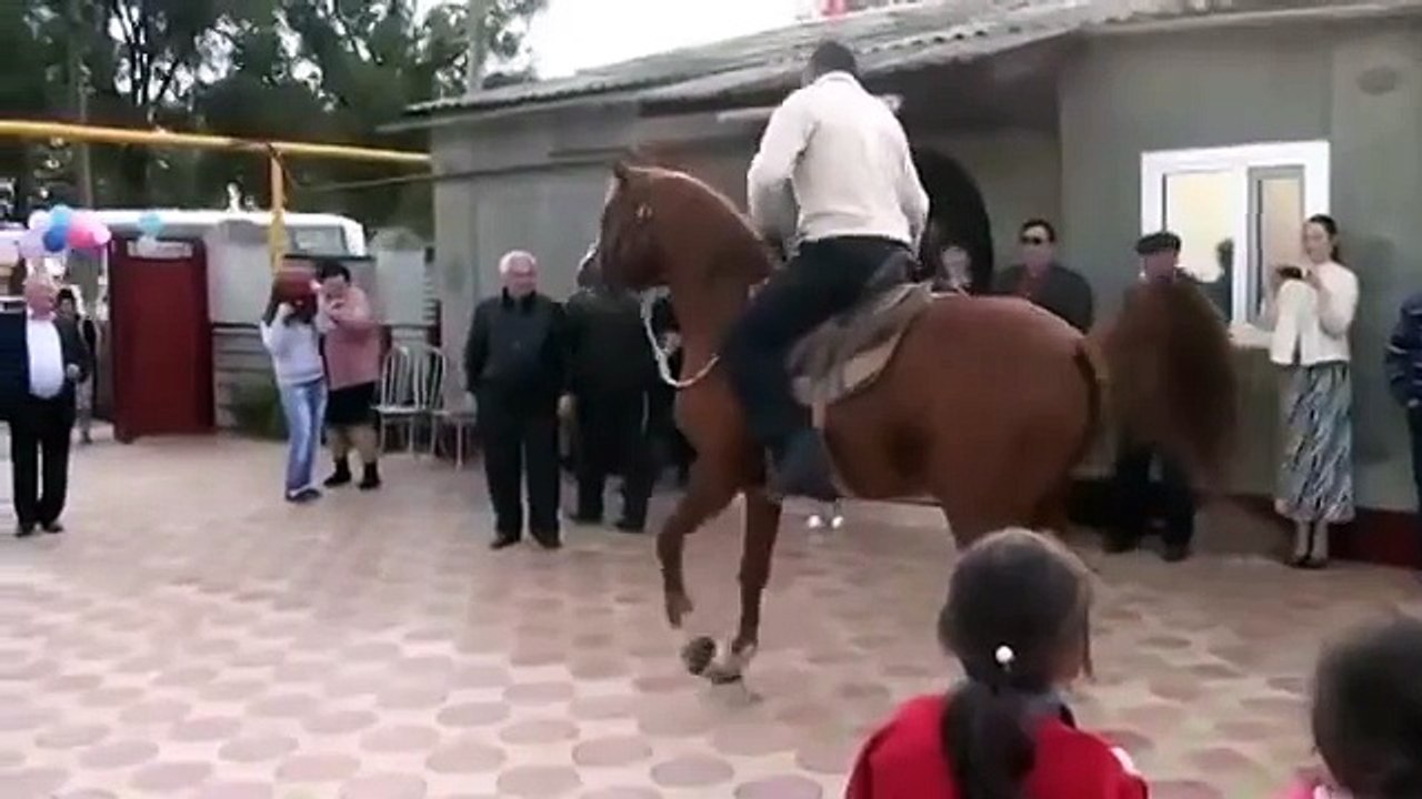 HORSE dancing at the wedding)))