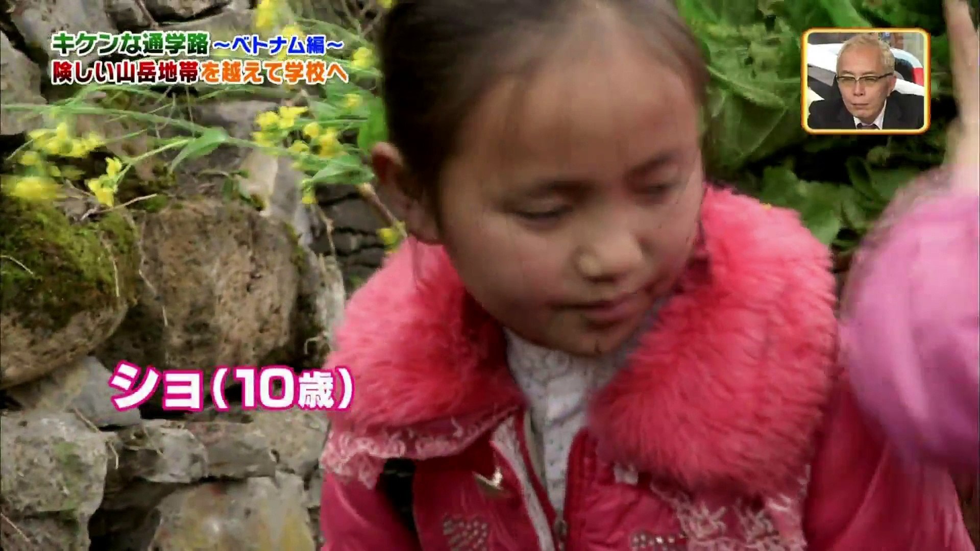 世界まる見え キケンな通学路 動画 Dailymotion