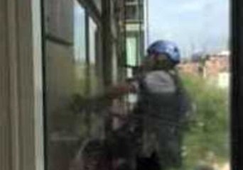 This Cat Is Obsessed by the Window Cleaners