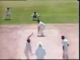 Amazing Cricket Nasty bouncer by McDermott Australia vs West Indies 1991