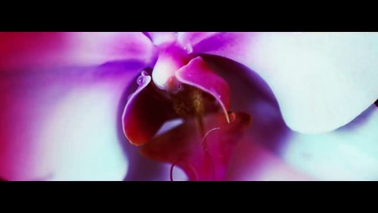 Ty Dolla $ign - When I See Ya ft. Fetty Wap [Music Video]