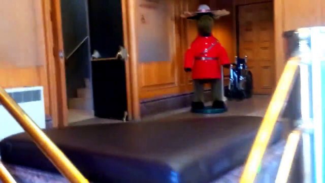 In Search of the Missing Gold from the Royal Canadian Mint - $29 Million -Part 1