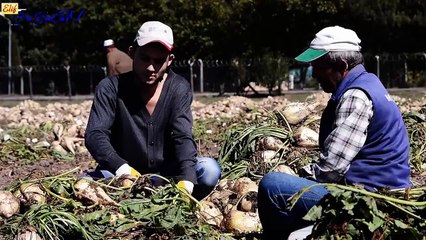 Serseri Bela Hayat Mahkemesi = 2014