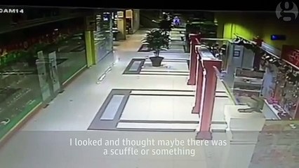 Wild Bear Goes On Shopping