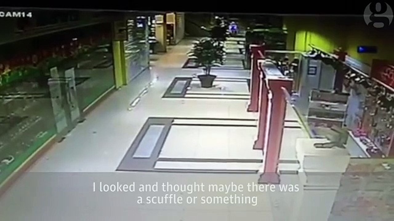 Wild Bear Goes On Shopping