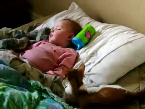 Gato No Deja Tranquilo A Bebe ★ humor gatos - video divertido gatos chistosos risa gato
