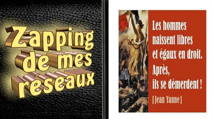Zapping de mes réseaux