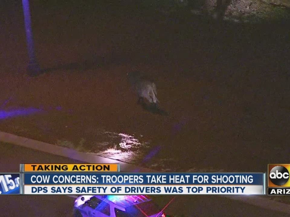 Cow concerns: Troopers take heat for shooting