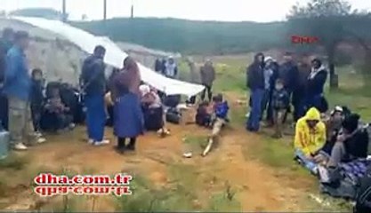 Kaçakları Pendik'te Ormanlık Alana Bıraktılar