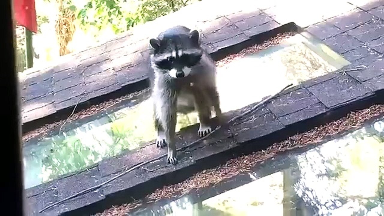 When you're trying to teach your child something and they just don't want to know very cute