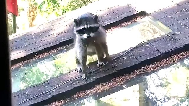 When you're trying to teach your child something and they just don't want to know very cute