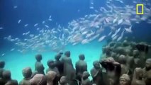 110 dev heykel denizle buluştu su altı müzesi - Funny Video - video Droles