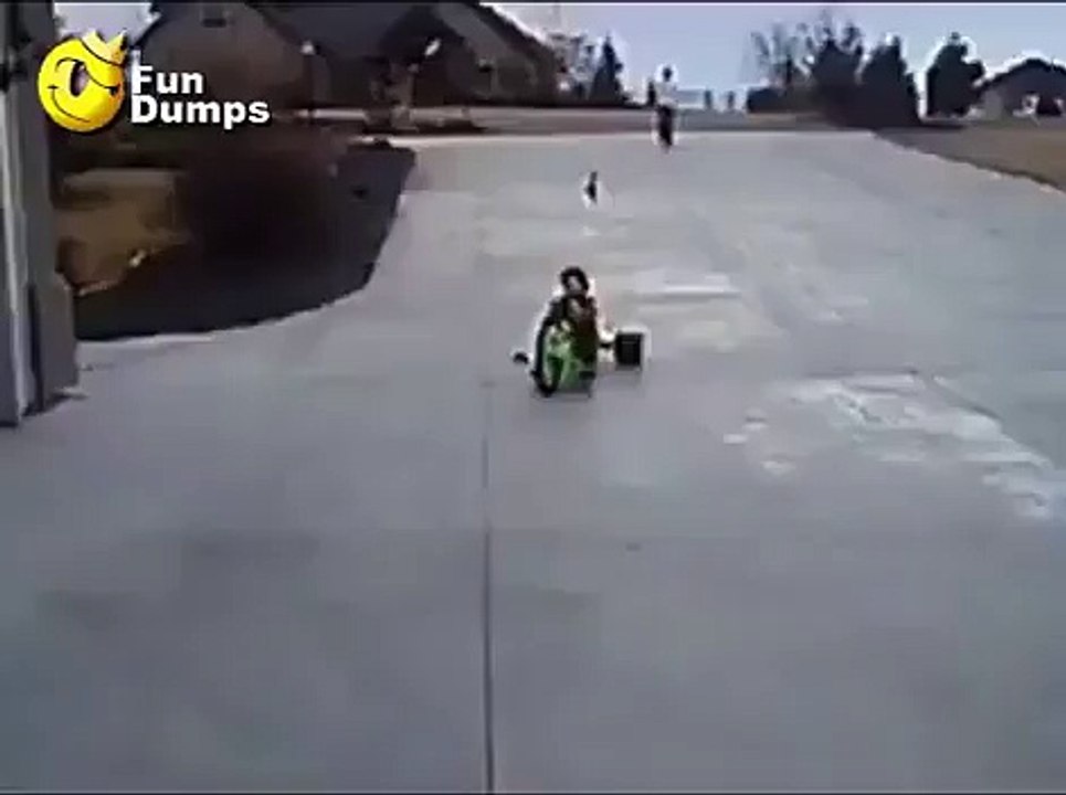 Some People are just Born to Be Cool