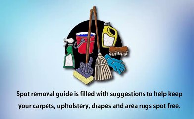 Spot Removal Guide For Carpet Cleaning