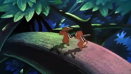 chip and dale cartoon in hindi chip and dale images