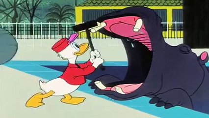 chip and dale cartoons in english chip and dale imdb