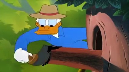 chip and dale costumes chip and dale intro