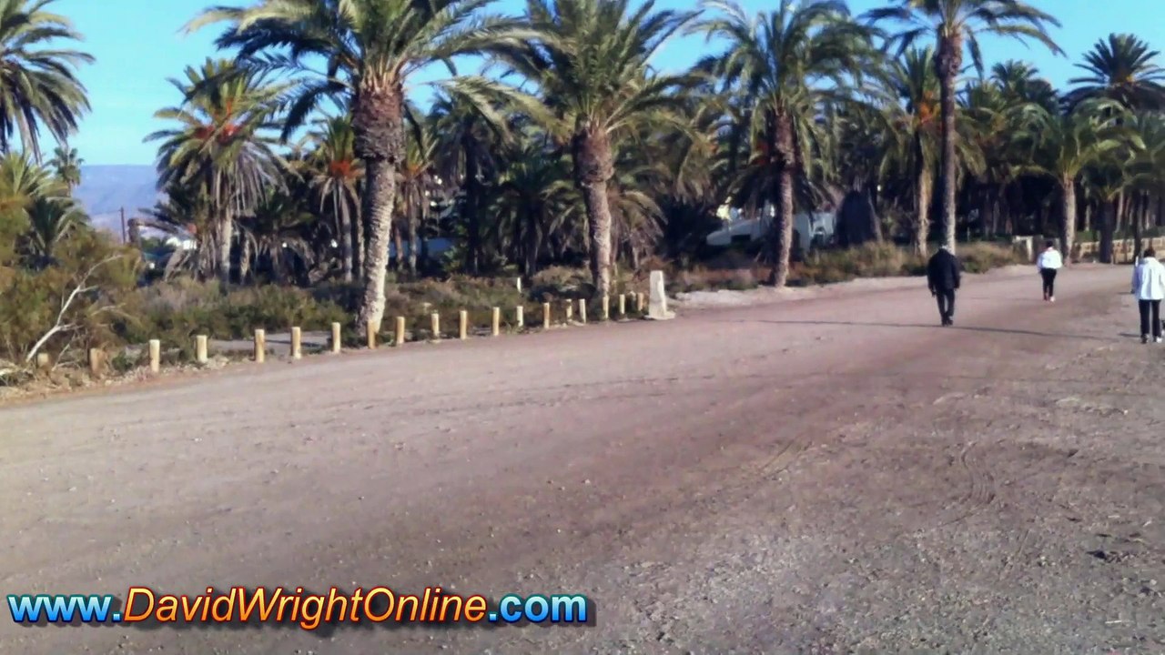 Work from home in Spain 2014