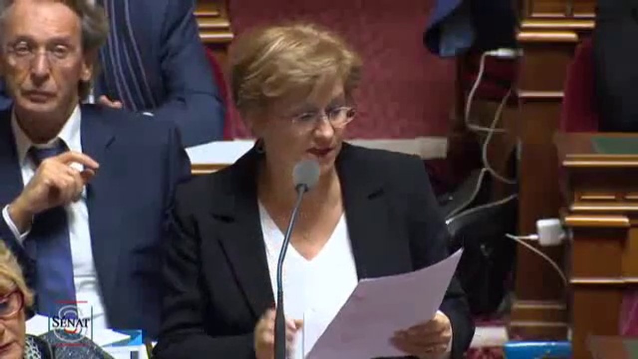 QAG de Annie Guillemot du 15 octobre 2015