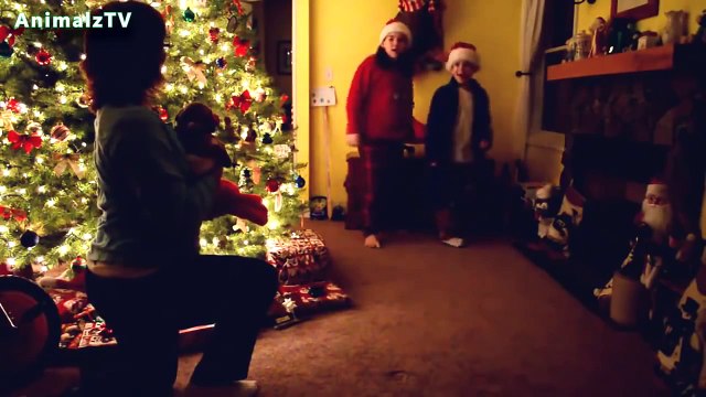 Лучший подарок - это собака