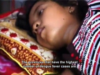 Dengue Fever Treatment With Tawa-Tawa Plant (with English Sub)