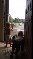 Ребенок и собака встречают папу с работы