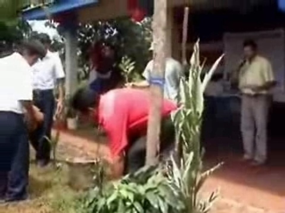 Fiesta del Arbol (version blog)