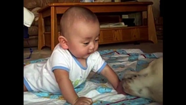 Baby gets wet kisses from puppy Animals