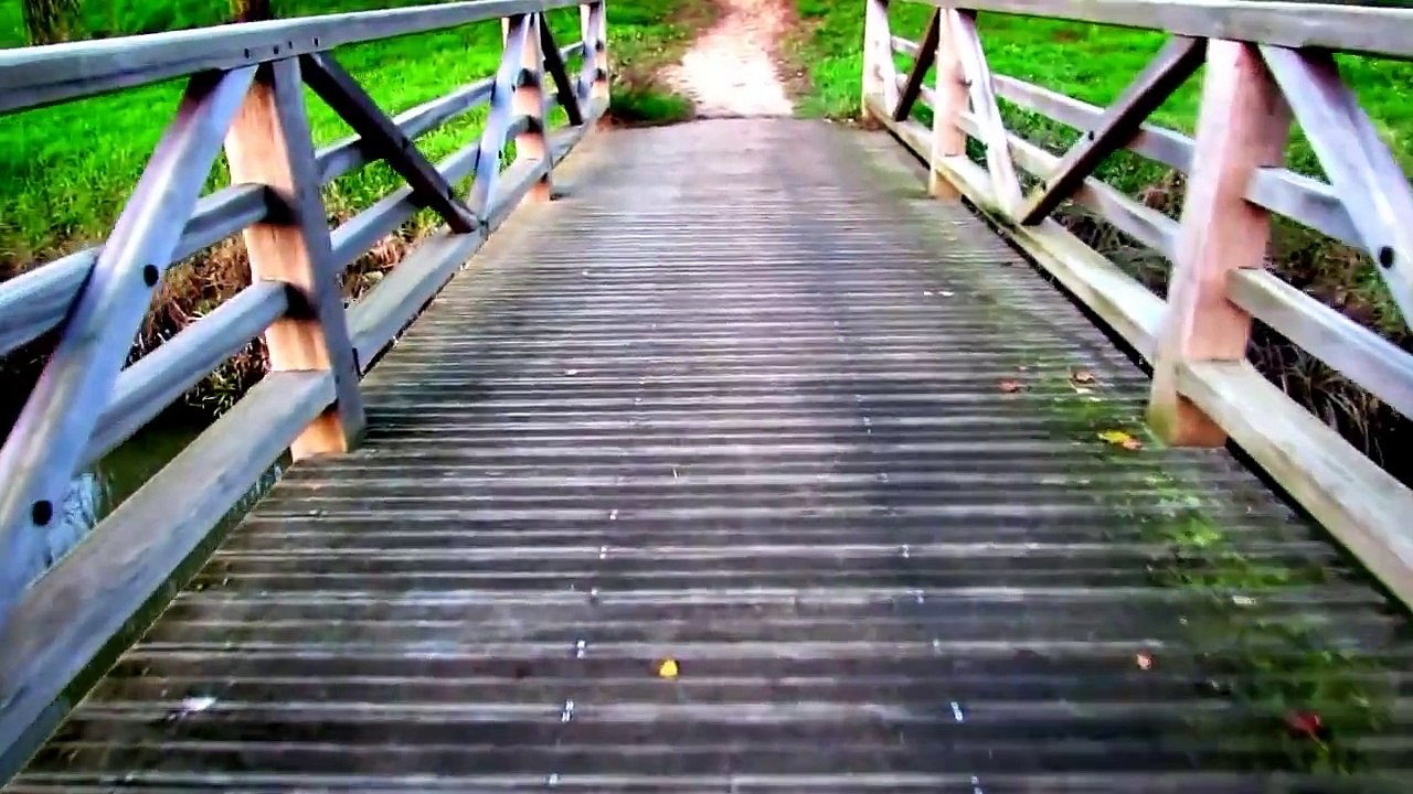 les passerelles de Balzac ANGERS