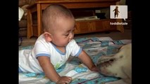 Baby gets wet kisses from puppy Animals