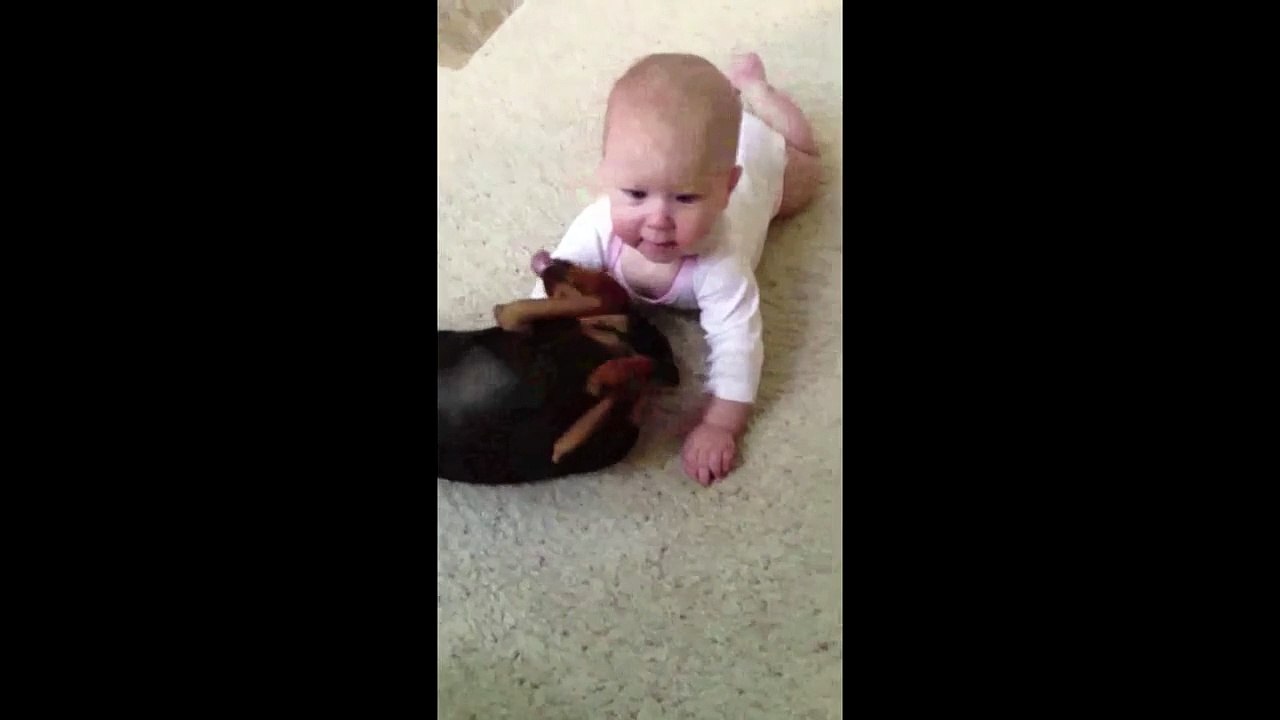 Baby pukes all over dog -Babies Mastia