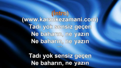 Mine Gecili - Tadı Yok - 2013 TÜRKÇE KARAOKE