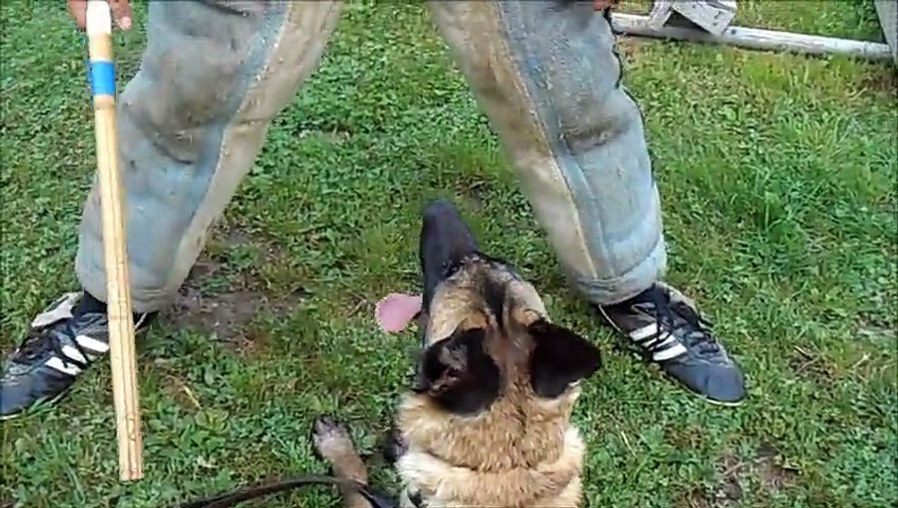 les guerriers de maligne