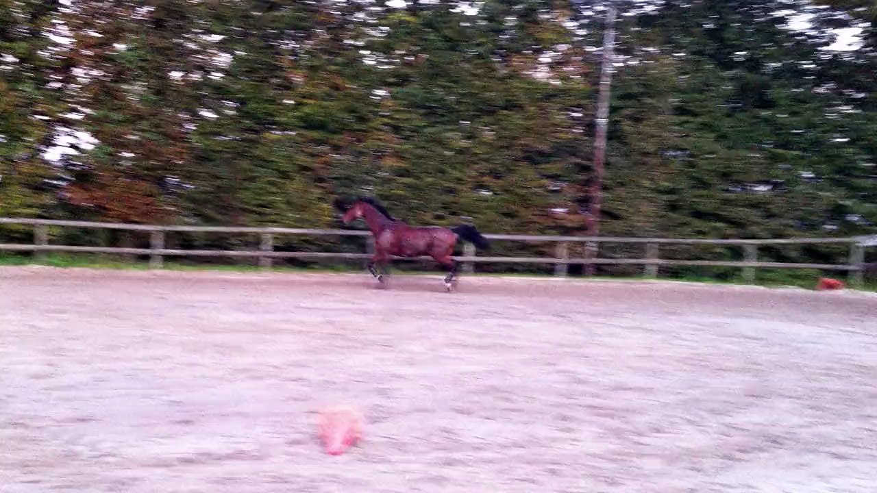 15-10-12 - Liberté 4