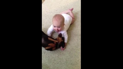 Baby pukes all over dog - Babies Mastia