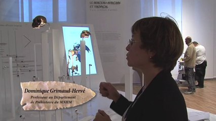 Au musée de l'homme, Dominique Grimaud-Hervé présente nos lointains ancêtres
