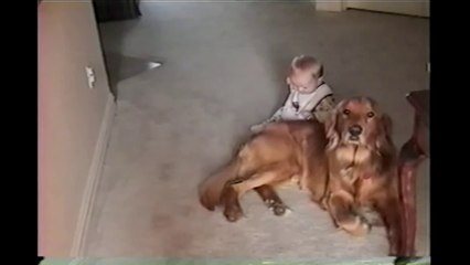 Inappropriate Baby, Babies Mastia