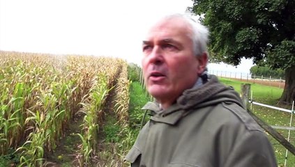 Plateau picard : les quatre nouveaux circuits du souvenir sont balisés