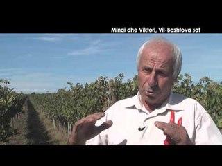 Veri-Jug - Minai dhe Viktori, Vil-Bashtova sot