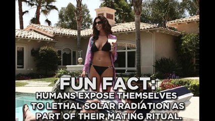 What Aliens Would Think Of The Human Race If They Watched Movies