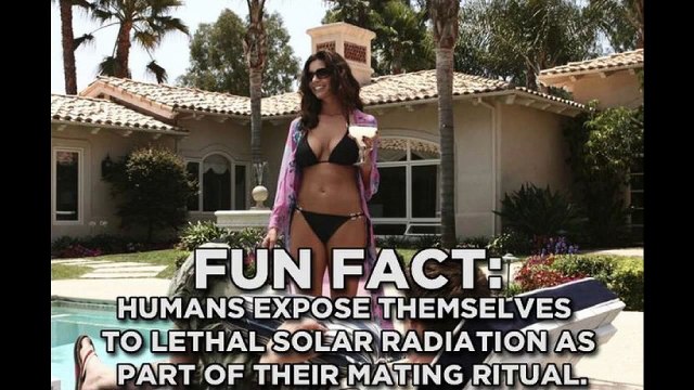 What Aliens Would Think Of The Human Race If They Watched Movies