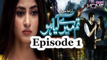 Tum Mere Kya Ho Episode 1 Full in HD PTV Home (Mikaal Zulfiqar & Sajjal Ali)