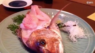 Sashimi Fish Comes Back To Life And Jumps off The Plate (VIDEO)