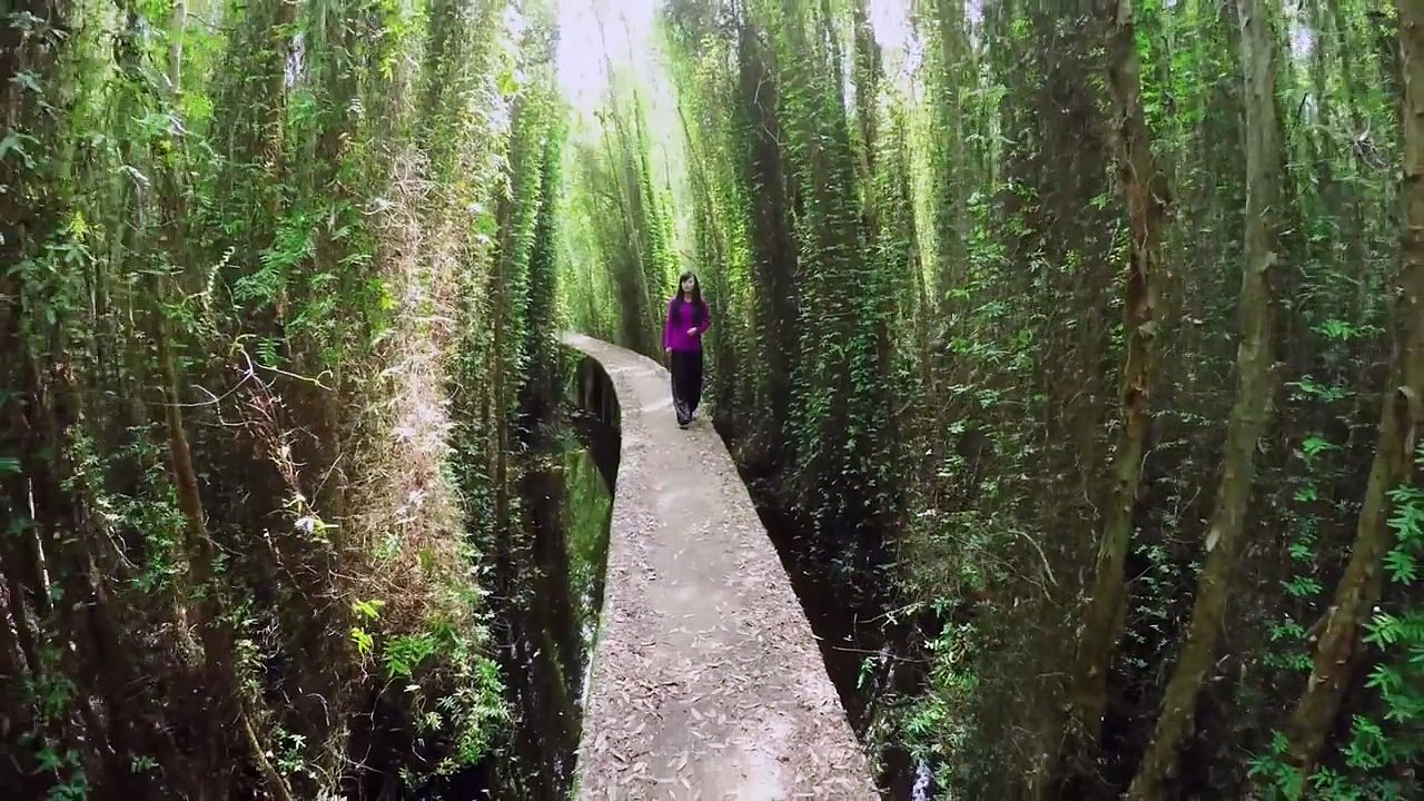 Người Tình Quê - Martin Sang