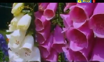 Tikkabilla Full Episodes Bees And Sweets Part 1 in 2 HD