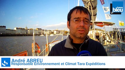 La goélette d'exploration scientifique TARA en escale à Nantes