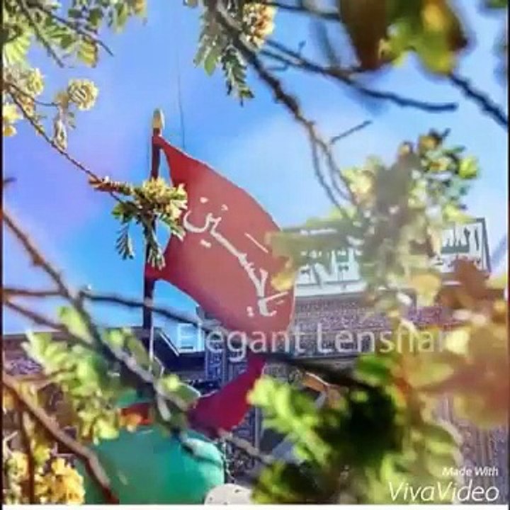 Promo Noha l Nohakhuwan-Zaki Abbas l New Nohay 1437 Hijri